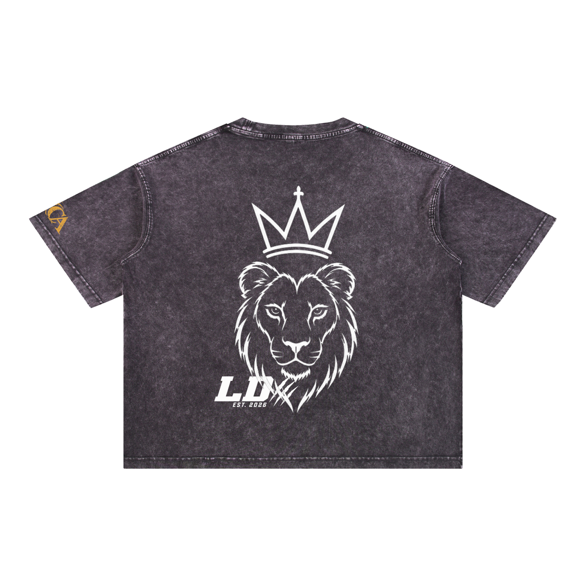 Lions Den Classic Block Mineral-Wash Boxy Tee
