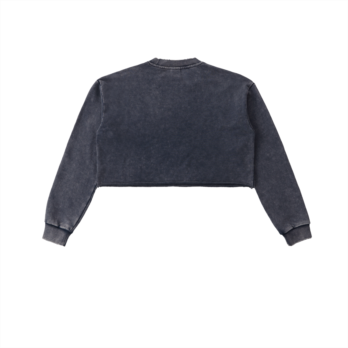 Crowned LD & Rose Snow-Wash Cropped Sweatshirt