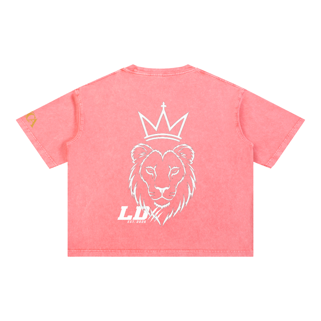Lions Den Classic Block Mineral-Wash Boxy Tee