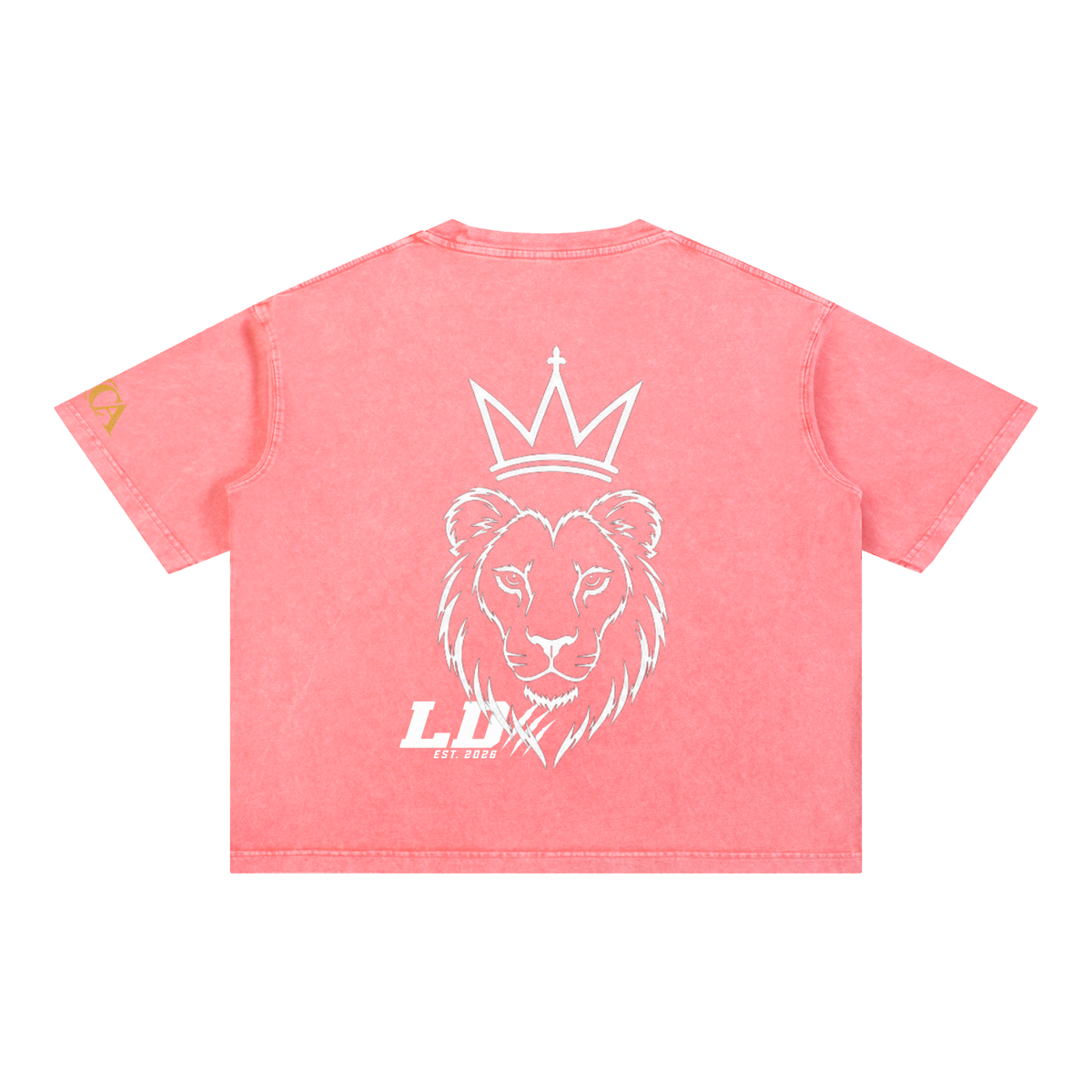 Lions Den Classic Block Mineral-Wash Boxy Tee