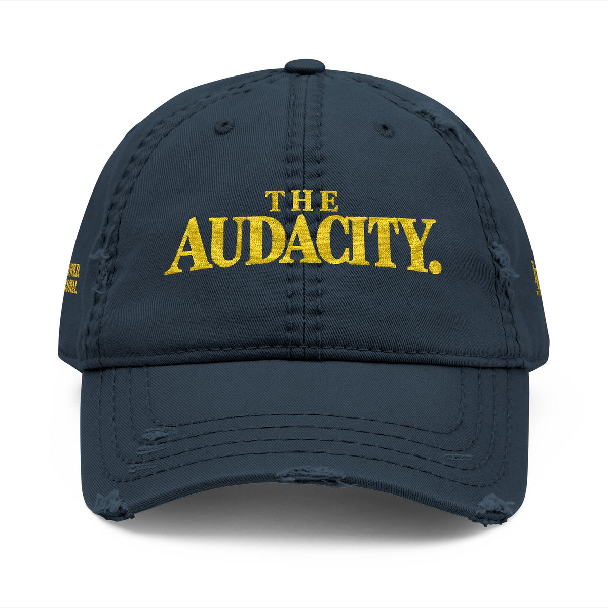 The Audacity Dad Hat | Lions Den Embroidered Cap