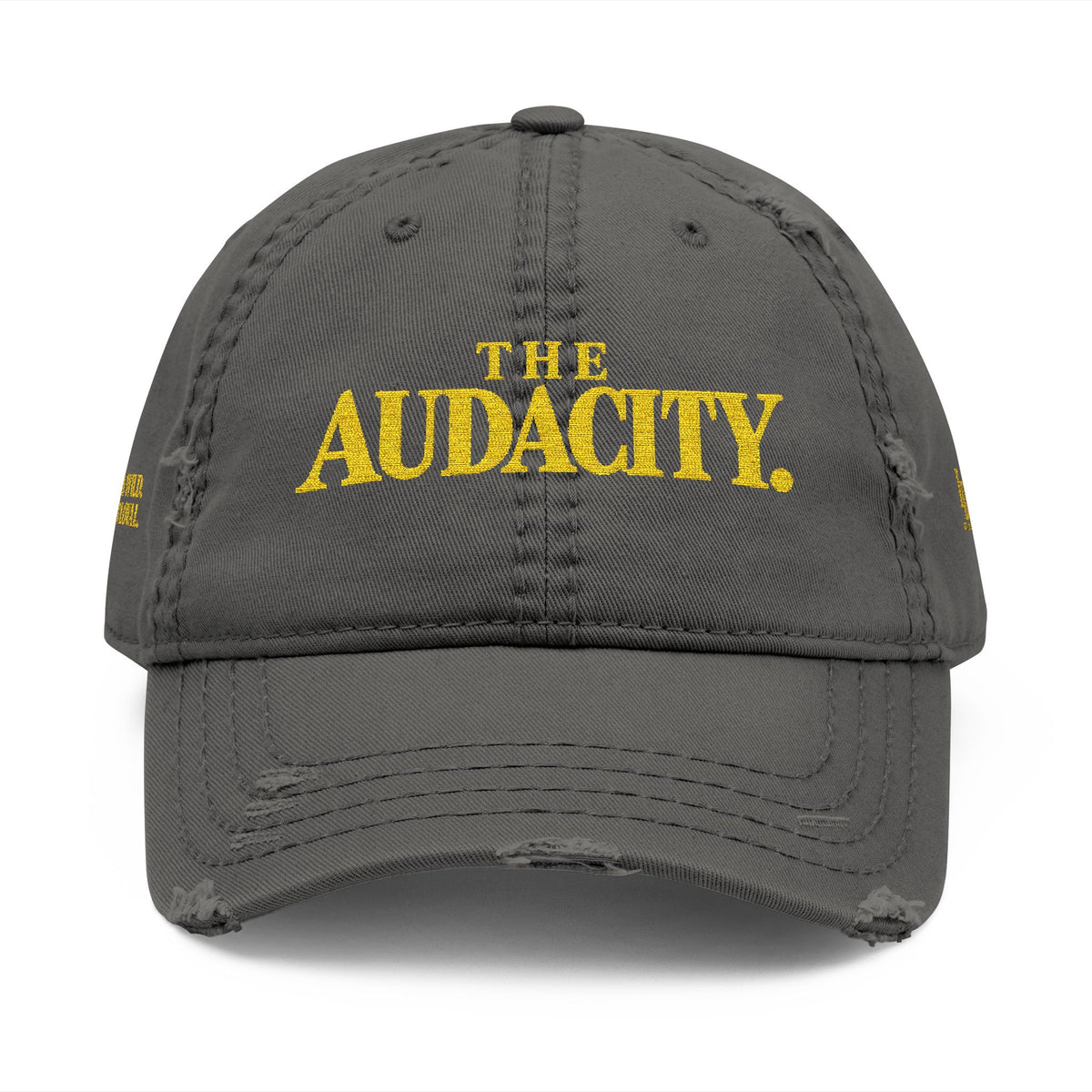 The Audacity Dad Hat | Lions Den Embroidered Cap