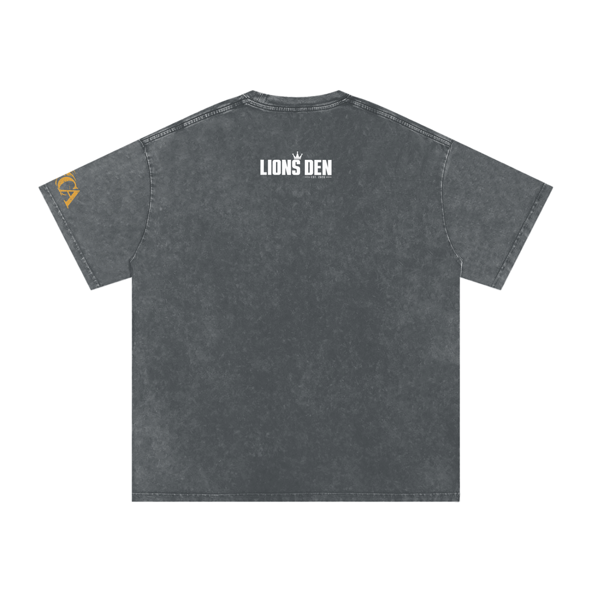 Pride Manifesto Lion Snow-Wash Oversized Tee