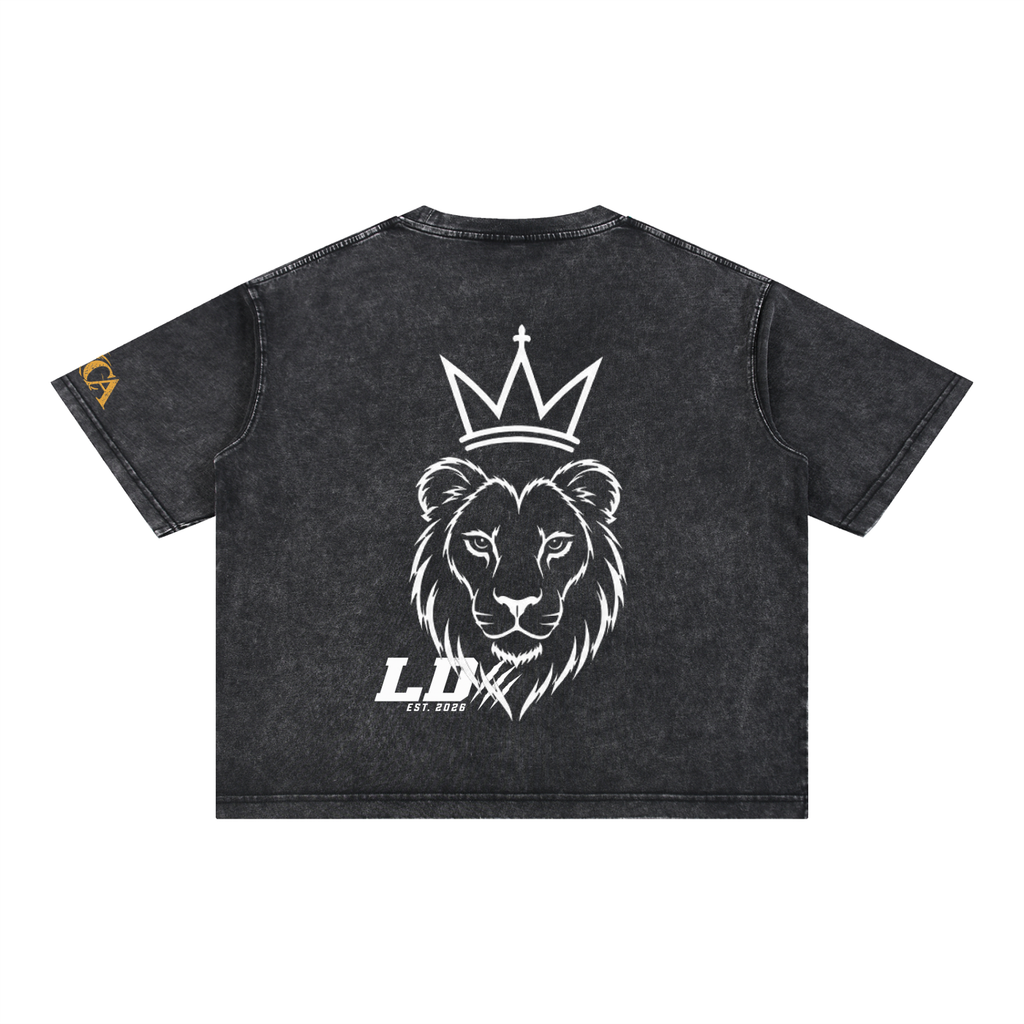 Lions Den Classic Block Mineral-Wash Boxy Tee