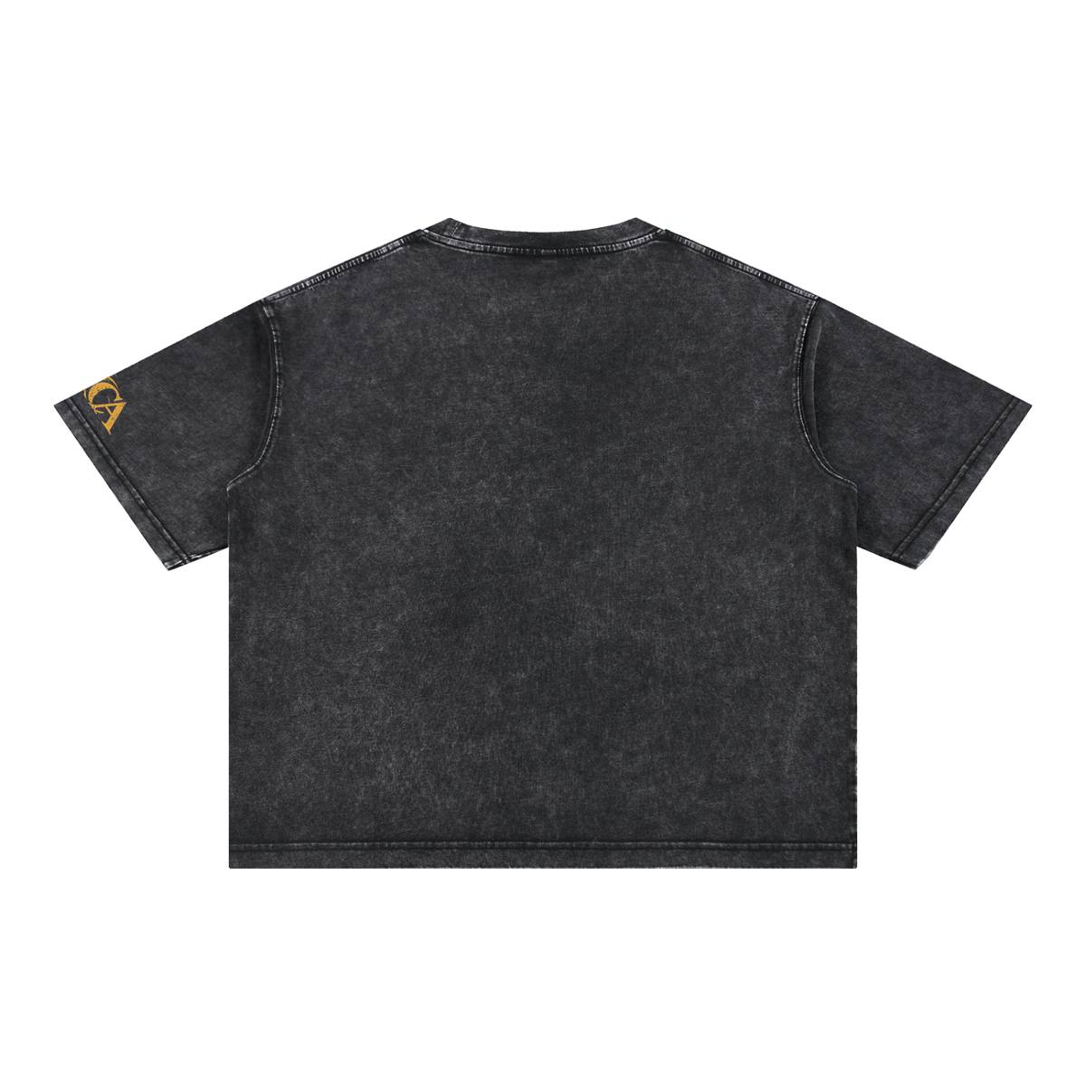 Born Wild Red Stripe Lion Mineral-Wash Boxy Tee