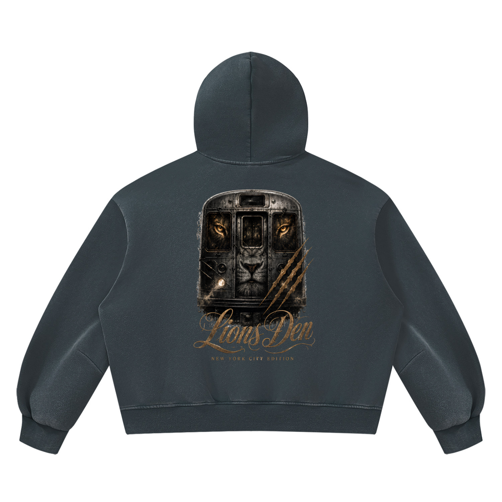 Lion Gate Vintage-Wash Boxy Fleece Hoodie