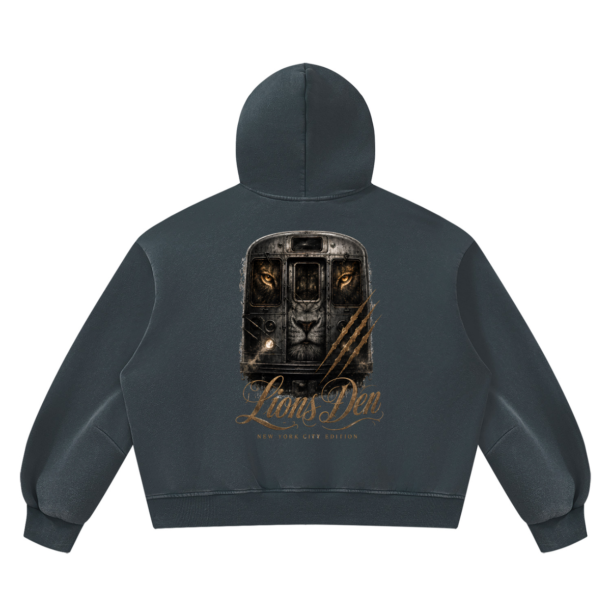 Lion Gate Vintage-Wash Boxy Fleece Hoodie
