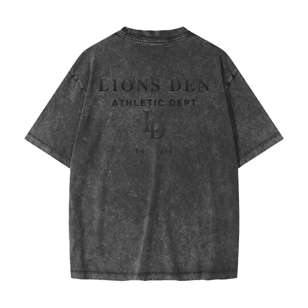 Heavyweight Snow Washed T-Shirt